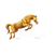 Congreso En el Nombre del Caballo – Inicio